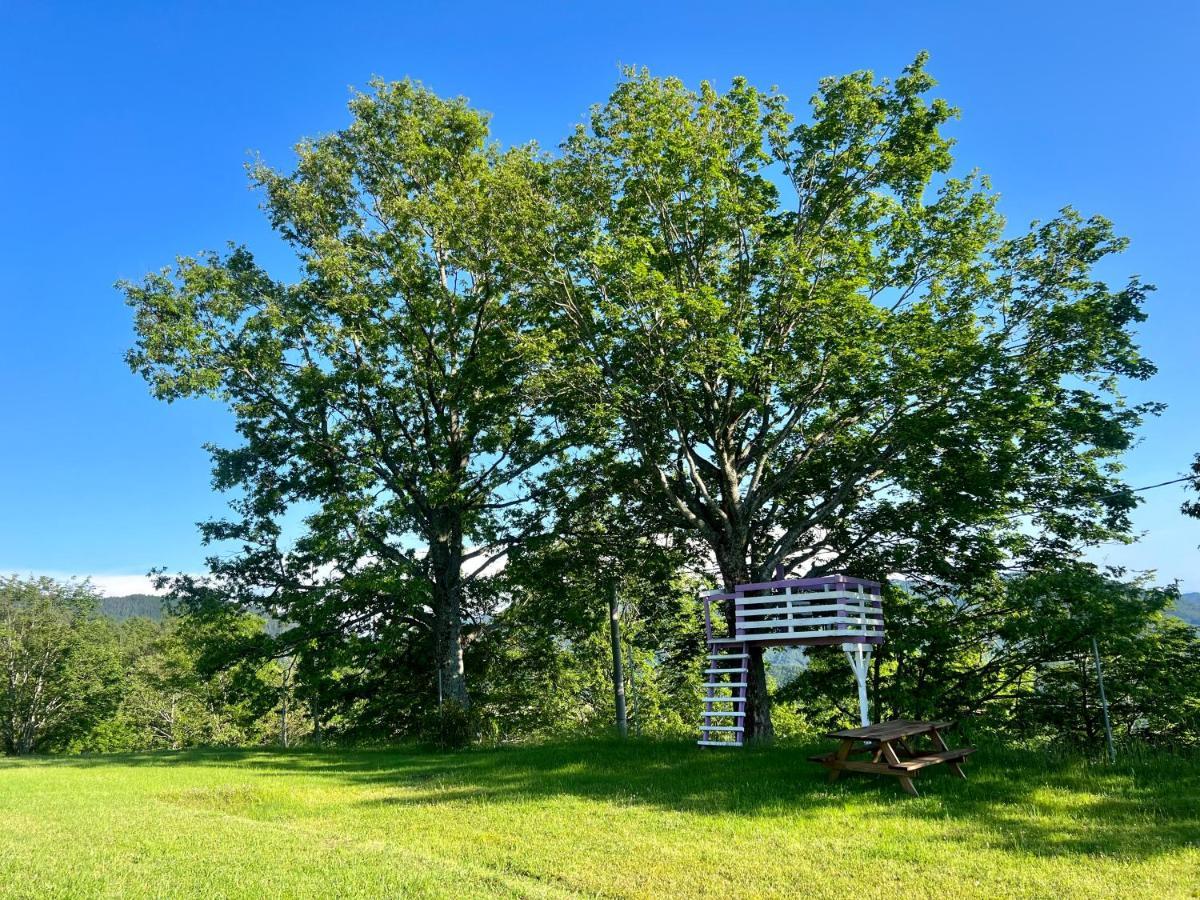 Agriturismo Il Serrino San Marcello Pistoiese Exterior foto