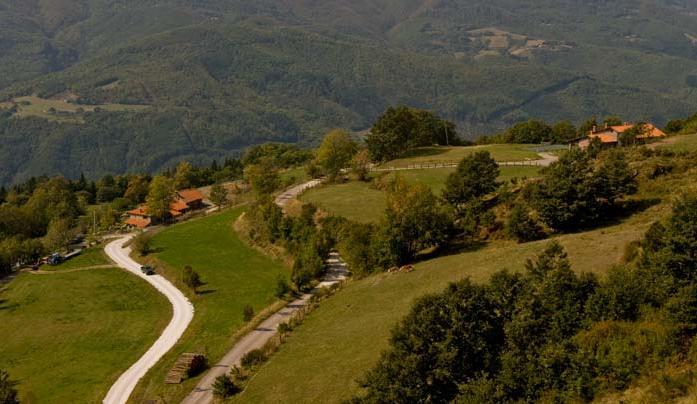 Agriturismo Il Serrino San Marcello Pistoiese Exterior foto